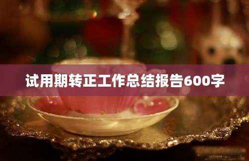 试用期转正工作总结报告600字