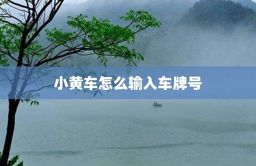 小黄车怎么输入车牌号