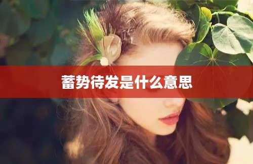 蓄势待发是什么意思