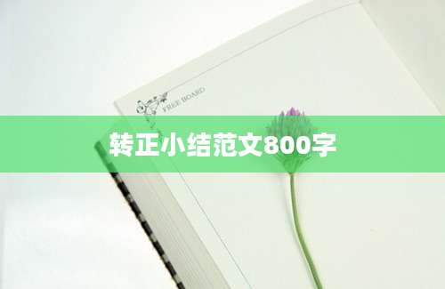 转正小结范文800字
