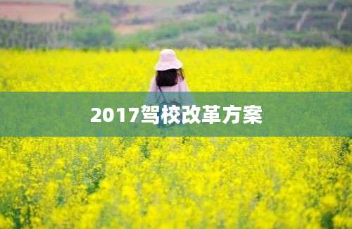 2017驾校改革方案