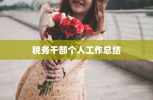 税务干部个人工作总结