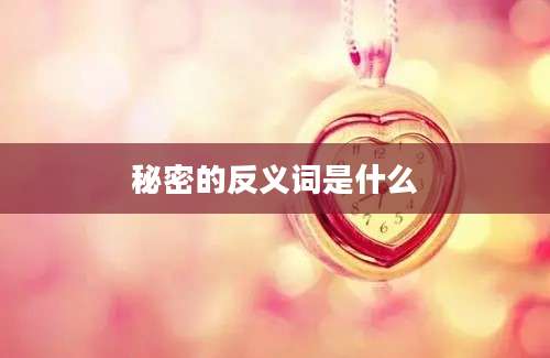 秘密的反义词是什么