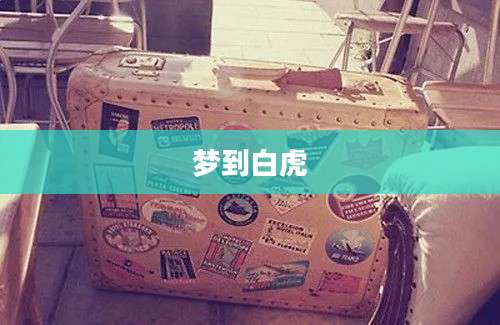 梦到白虎