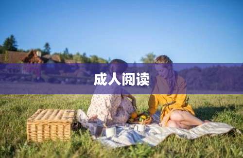 成人阅读