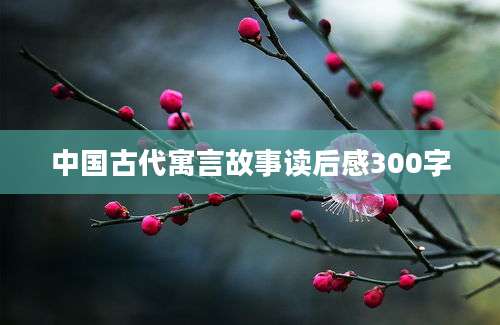 中国古代寓言故事读后感300字