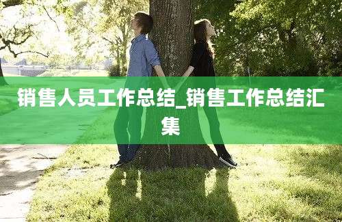 销售人员工作总结_销售工作总结汇集