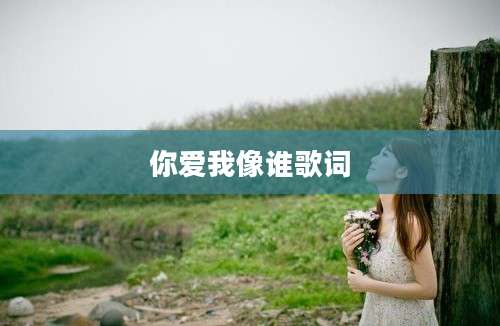 你爱我像谁歌词