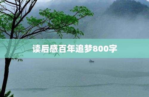 读后感百年追梦800字