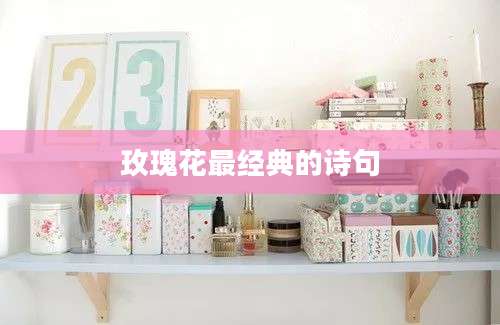 玫瑰花最经典的诗句