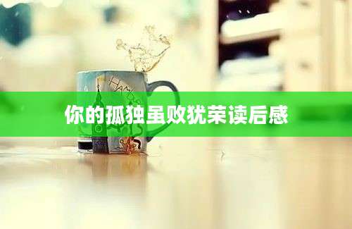 你的孤独虽败犹荣读后感