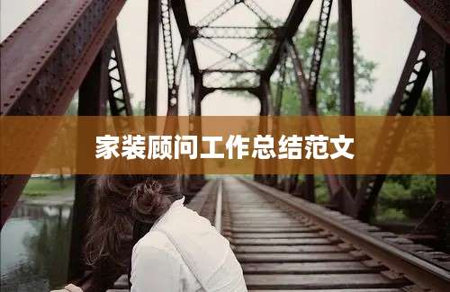 家装顾问工作总结范文