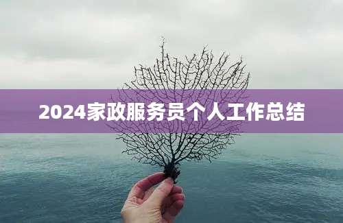 2024家政服务员个人工作总结