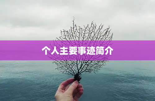 个人主要事迹简介