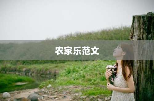 农家乐范文