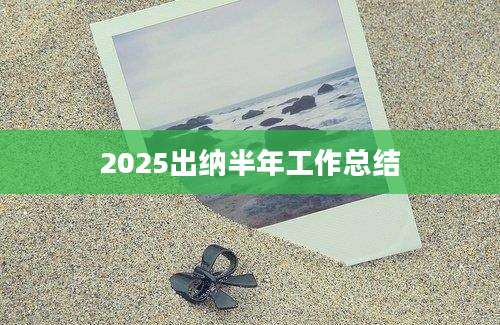 2025出纳半年工作总结