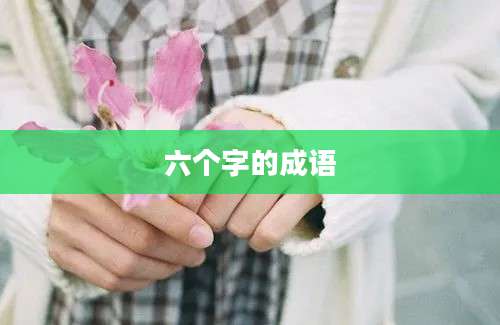 六个字的成语