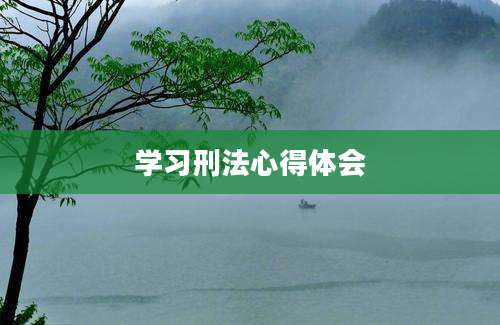 学习刑法心得体会