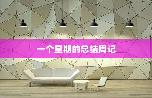 一个星期的总结周记