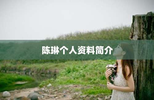 陈琳个人资料简介