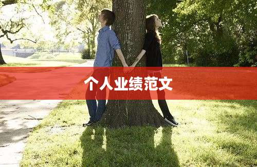 个人业绩范文