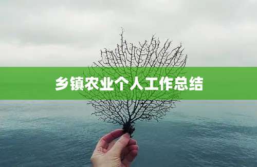 乡镇农业个人工作总结