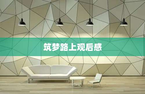 筑梦路上观后感