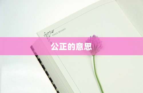 公正的意思