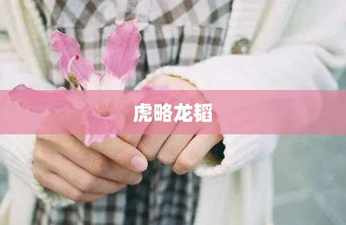 虎略龙韬