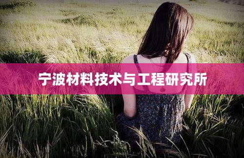 宁波材料技术与工程研究所