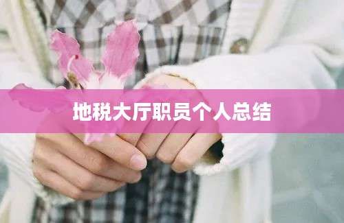 地税大厅职员个人总结