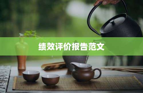 绩效评价报告范文