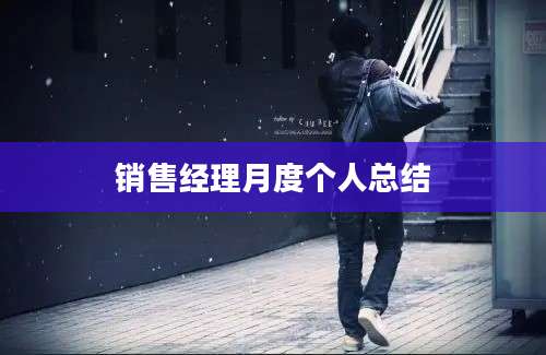 销售经理月度个人总结