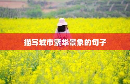描写城市繁华景象的句子