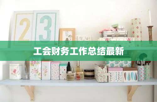 工会财务工作总结最新