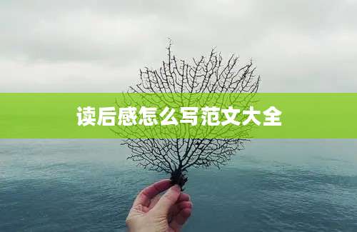 读后感怎么写范文大全