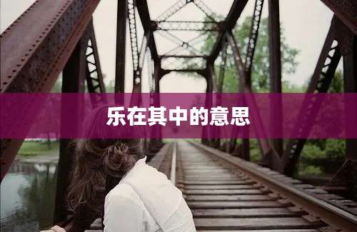 乐在其中的意思