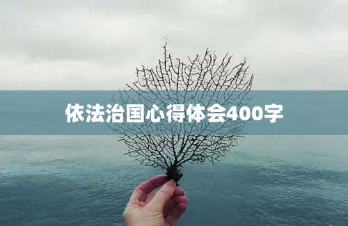 依法治国心得体会400字