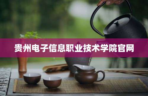 贵州电子信息职业技术学院官网