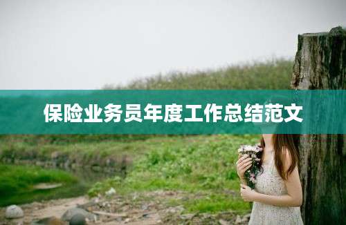 保险业务员年度工作总结范文