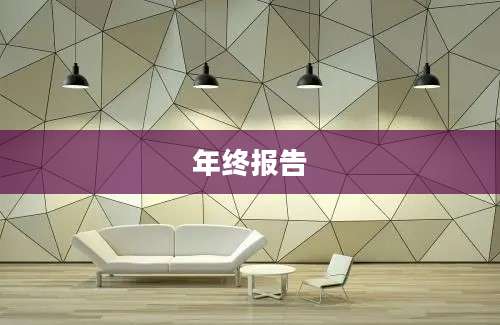 年终报告