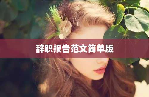 辞职报告范文简单版