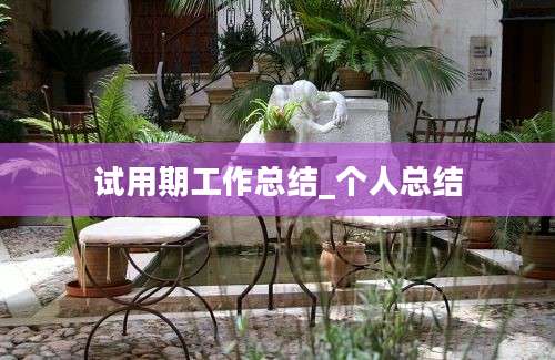 试用期工作总结_个人总结