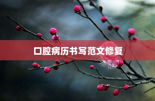 口腔病历书写范文修复