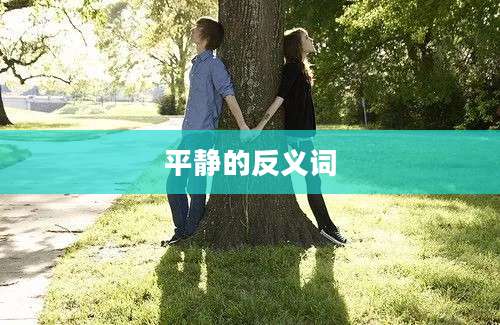 平静的反义词