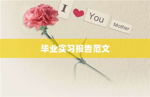 毕业实习报告范文