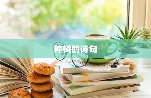 种树的诗句