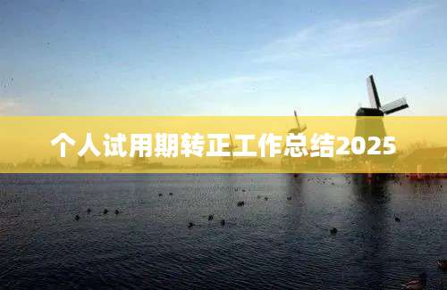 个人试用期转正工作总结2025