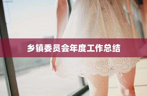 乡镇委员会年度工作总结