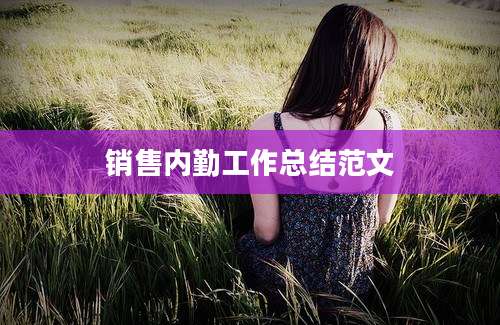 销售内勤工作总结范文